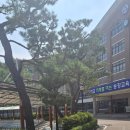 대전송강중학교 | 대전 송강중학교 성인지교육 진행 후기_성인지감수성 검사 해석