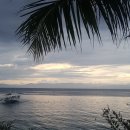 바디스 짐 | 세부 여행 모알보알 이동 팁과 가성비 숙소 쿠오 바디스 다이브 리조트 마이리얼트립에서 예약하기