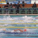 대부복지체육센터 이미지