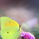 코끼리게임장 | 경기도 아이들과 가볼 만한 곳과 주말 나들이 추천지에 대해 알아보기