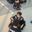 강철태권도체육관 이미지