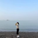 오산수협앞 | 선재도 여행기 - 선재도 조은펜션 / 영흥수협회센터 조개사냥