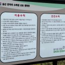 금산만악리수목원 오토캠핑장 이미지