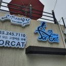 포캣(for cat) 이미지