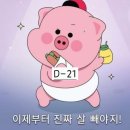D-21 이미지