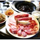 하누돈 실비 이미지