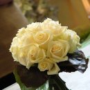 개. 이쁜날 이미지