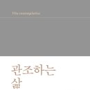 관조하는 삶 : 무위에 대하여 (2024)