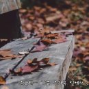 창작 무용극 모악정서 | 한국소리문화의 전당 공연 일정 9일 10일 창작무용극 '모악정서' 17일 윤도현 25일 변진섭 콘서트 기대
