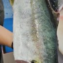 수원-0988 이미지