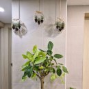 청담도트의원 이미지