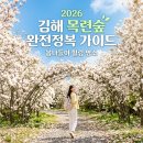 [동구 두 번째 학교_무료강좌] 스마트폰으로 인생사진 찍기(실전편) | "지금이 딱!" 2026 김해 목련숲 개화 정보 및 방문객 필수 체크리스트