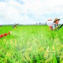 사동농장 이미지