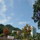 중앙근린공원(3.1공원) 이미지