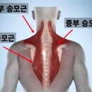 워싱턴짐 이미지