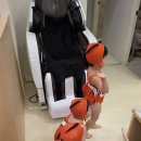 꼬미풀