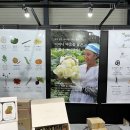 농업회사법인 다향연 티 주식회사