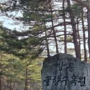 솔향수목원(전시온실) | 겨울 강릉 가볼 만한 곳, 솔향수목원 전시온실