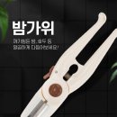 밤까는기계 호두까기 밤가위 밤까기 깎는기계 밤칼 이미지