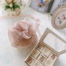 준플라워 이미지