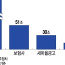 '은행보다 금리 낮고 한도도 더 나온다'…2금융권 '풍선효과' 우려 이미지