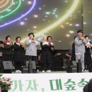 담양대나무축제 이미지