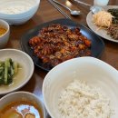 파주 신 쭈꾸미 | [파주맛집/운정맛집_신쭈꾸미 파주점] 직화쭈꾸미와 고르고 고른 고르곤졸라 화덕피자 맛집 출판단지...