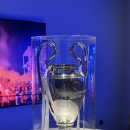 싼티아고 | 스페인 마드리드, 레알 마드리드 홈구장 산티아고 베르나베우 구장 투어 후기