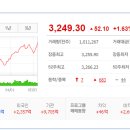 에스앤씨인터내셔널