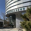 월드스포츠센터 | 영등포제2스포츠센터 주말 자유수영 후기