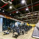 윙스온천 이미지