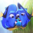 바람도리 이미지