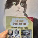 동물보육원 고양이 후원 카페 이미지