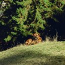 이안한방병원 이미지