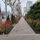 서울양원초등학교