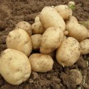 은하제일농장 이미지