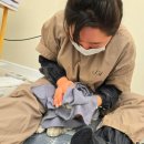 냥냥미장원 이미지