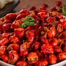 마라향기 이미지