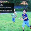 수빌리지펜션 이미지