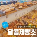 청량리19 | 청량리 달콤제빵소 후기, 빵 종류 많고 건강빵 코너까지 있던 대형 베이커리 내돈내산 후기