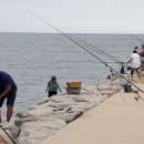 커피아라 - 울주군 간절곶해안길 57 | 커피아라