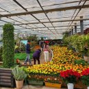 고현유치원 이미지