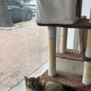 한일동물병원 이미지