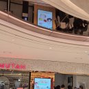 무탄코엑스몰 | [코엑스 맛집] 무탄 코엑스점 내돈내산 솔직후기