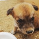 당거농장 이미지