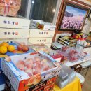 싱싱0202 이미지