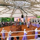 시립박물관 야외공연장 이미지