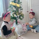 칠암약국 | 12월 일상