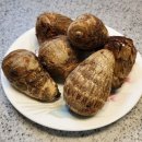 토란(土卵) 효능 및 부작용 이미지