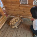 (주)포천교통 | 포천 주파크 후기 | 아이랑 가기 딱 좋은 실내 동물원!